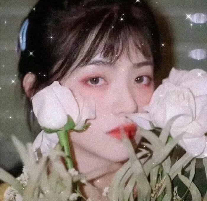 我才不要恋爱呢
