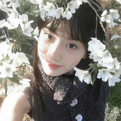 沉香如屑